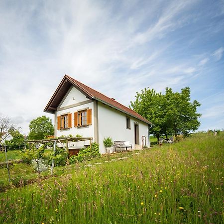 Weinlofts Weinloft I Villa Edlitz im Burgenland Eksteriør bilde