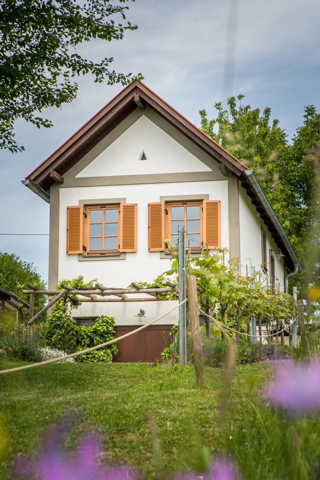 Weinlofts Weinloft I Villa Edlitz im Burgenland Eksteriør bilde