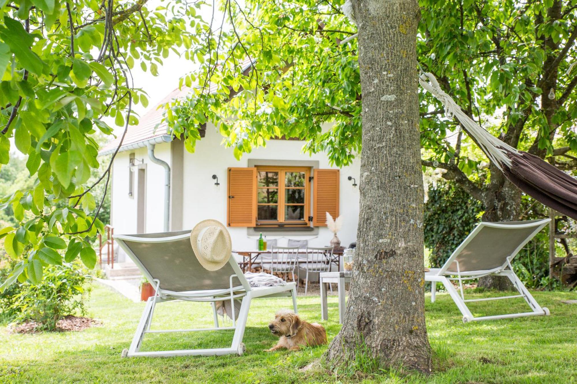Weinlofts Weinloft I Villa Edlitz im Burgenland Eksteriør bilde