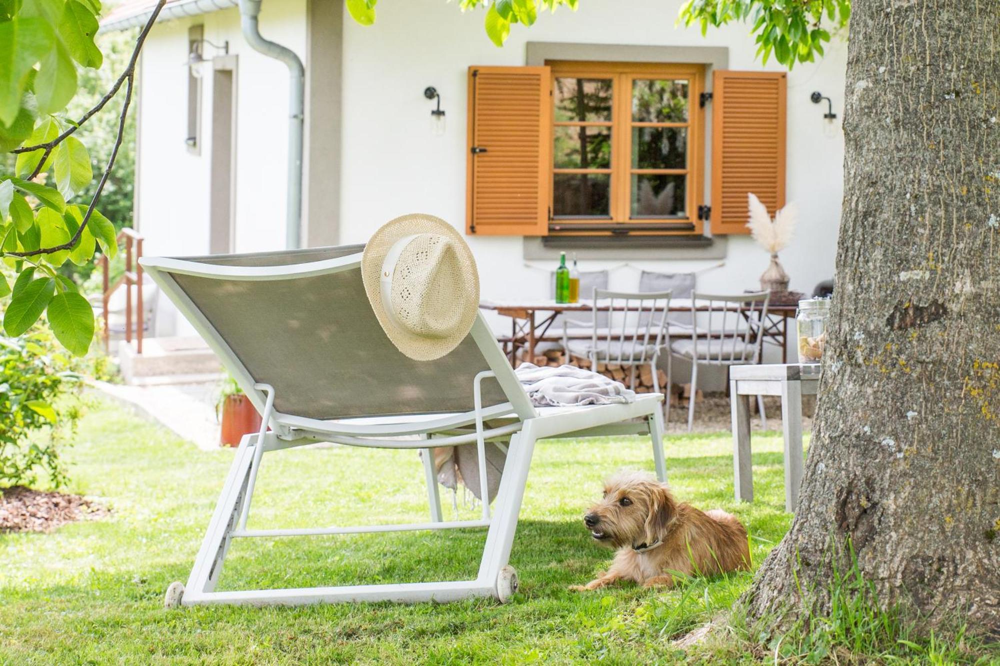 Weinlofts Weinloft I Villa Edlitz im Burgenland Eksteriør bilde